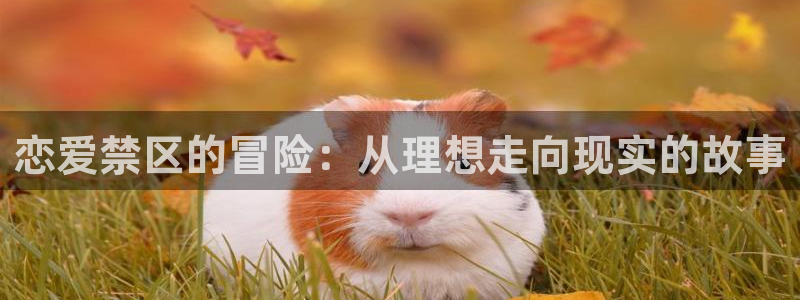 虫虫漫画：恋爱禁区的冒险：从理想走向现实的故事