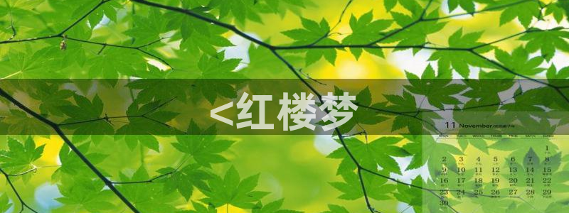 虫虫漫画成人：<红楼梦