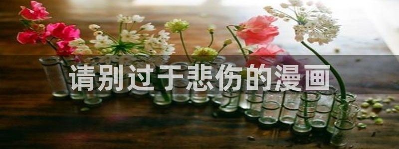 虫虫漫画未删减：请别过于悲伤的漫画