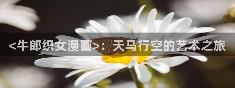 虫虫漫画免费网站：<牛郎织女漫画>：天马行空的艺术之旅