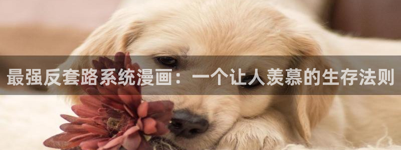 虫虫漫画免费漫画入口页面下拉式：最强反套路系统漫画：一个让人羡慕的生存法则