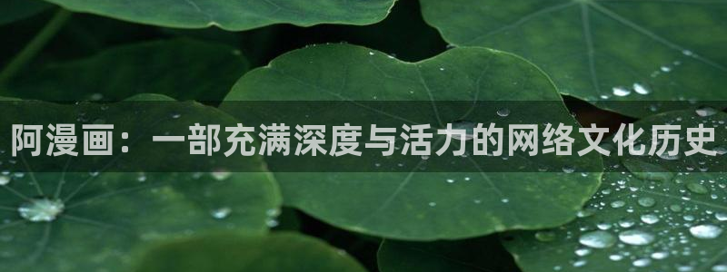 虫虫漫画安全吗：阿漫画：一部充满深度与活力的网络文化历史