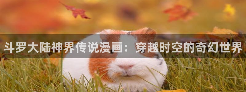 虫虫漫画网免费版：斗罗大陆神界传说漫画：穿越时空的奇幻世界